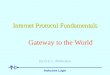 Inductive Logic Internet Protocol Fundamentals Gateway to the World By Eric L. Michelsen