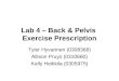 Lab 4 – Back & Pelvis Exercise Prescription Tyler Hyvarinen (0308368) Allison Pruys (0310660) Kelly Heikkila (0305975)
