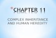 COMPLEX INHERITANCE AND HUMAN HEREDITY. * CH. 11.1 BASIC PATTERNS OF HUMAN INHERITANCE * MAIN IDEA – THE INHERITANCE OF A TRAIT OVER SEVERAL GENERATIONS