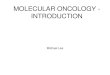 MOLECULAR ONCOLOGY - INTRODUCTION Michael Lea. MOLECULAR ONCOLOGY BIOC 5100Q - 2015 Spring 2015, Mondays, 6:00 to 8:00 p.m. Room E609b except for exams,