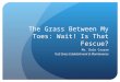 The Grass Between My Toes: Wait! Is That Fescue? Mr. Dale Cruzan Turf Grass Establishment & Maintenance
