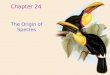 Chapter 24 The Origin of Species. Hummingbirds of Costa Rica Species