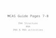 MCAS Guide Pages 7-8 DNA Structure RNA DNA & RNA activities