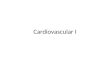 Cardiovascular I. Overview General Introduction/Function Red Blood Cells Hemoglobin Hematopoiesis Heart Anatomy Skeletal versus Cardiac Muscle Electrical