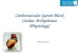 Cardiovascular System Block Cardiac Arrhythmias (Physiology) Ahmad Hersi
