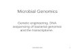 MBV3060 20041 Microbial Genomics Genetic engineering, DNA sequencing of bacterial genomes and the transcriptome