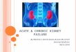 ACUTE & CHRONIC KIDNEY FAILURE By Maritza I. Garcia-Duran & Joao Mc-O’neil Internal Medicine 06/21/2010