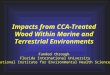 Funded through Florida International University National Institute for Environmental Health Sciences Impacts from CCA-Treated Wood Within Marine and Terrestrial