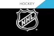 HOCKEY. HOW I’M LITERATE IN HOCKEY I’m literate in hockey because I know the rules, I am good at playing the sport, I like to watch NHL all the time,