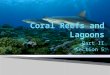 Part II Section 5.  What is a coral? What is a coral?  Healthy corals accumulate CaCO 3 at rate of 3-15 meters in 1000 years