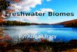 Freshwater Ecosystems By: Abigail Tracy Freshwater Biomes By: Abigail Tracy