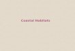 Coastal Habitats. The term coast has a much broader meaning than shoreline and includes many other habitats and ecosystems associated with terrestrial