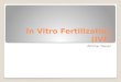 In Vitro Fertilization (IVF) Ammar Yasser. Natural (In Vivo)Fertilization Human fertilization In Vivo (in the living body) happens in oviducts (fallopian