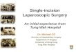 Single-incision Laparoscopic Surgery An initial experience from Tung Wah Hospital Dr. Michael CO Division of Hepatobiliary Surgery Department of Surgery