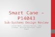 Smart Cane – P14043 Sub-Systems Design Review Lauren Bell, Jessica Davila, Jake Luckman, William McIntyre, Aaron Vogel