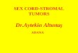 SEX CORD-STROMAL TUMORS Dr.Aytekin Altıntaş ADANA