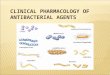 CLINICAL PHARMACOLOGY OF ANTIBACTERIAL AGENTS. BASIC QUESTIONS  Clinical pharmacology of main groups of antibiotics  Problems of antibiotic resistance