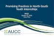 Promising Practices in North-South Youth Internships IVCO October 21, 2014 Lima, Peru