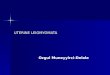 UTERINE LEIOMYOMATA Ozgul Muneyyirci-Delale. Classification of Leiomyomata Intracavitary Intracavitary Submucosal Submucosal Intramural Intramural Subserosal