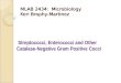 MLAB 2434: Microbiology Keri Brophy-Martinez Streptococci, Enterococci and Other Catalase-Negative Gram Positive Cocci