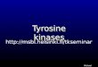 Michael Jeltsch Tyrosine kinases