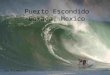 Puerto Escondido Oaxaca, Mexico Joe Belamarich. Surf is seasonal in Puerto Escondido: Waves range from small to medium in size from November – April (dry