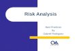 Risk Analysis Best Practices By Gabriel Rodriguez