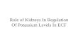 Role of Kidneys In Regulation Of Potassium Levels In ECF