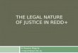 THE LEGAL NATURE OF JUSTICE IN REDD+ Dr Rowena Maguire r.maguire@qut.edu.au