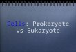 Cells: Prokaryote vs Eukaryote. Cell Theory All life is made of cells. Cells are the basic unit of life. Cells come from pre-existing cells (except for