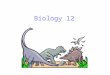 Biology 12. Palaeontology This involves the collection of evidence of past life or fossils The fossil record shows: similarities between prehistoric organisms