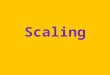 Scaling. Survey Research Questionnaires and Interviews Both experimental and nonexperimental research Read pages 212 through 223 in Martin Scaling = construction