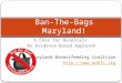 A Case for Hospitals: An Evidence-Based Approach Maryland Breastfeeding Coalition  Ban-The-Bags Maryland!