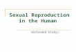 Sexual Reproduction in the Human (Extended Study)