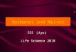 Hormones and Nerves Life Science 2010 鄭先祐 (Ayo) Hormones and Nerves2 Hormone and Pheromone A hormone ( 荷爾蒙 ) is a chemical that is produced in one part