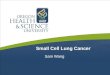 Small Cell Lung Cancer Sam Wang. Outline –Small Cell Lung Cancer
