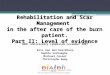 Rehabilitation and Scar Management in the after care of the burn patient. Part II: Level of evidence BABI anniversary symposium november 2007 Eric Van