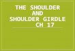THE SHOULDER AND SHOULDER GIRDLE CH 17. TOPICS TO BE COVERED Examination, evaluation and assessment of shoulder joint Referred pain and nerve injury MANAGEMENT