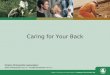 Caring for Your Back Ontario Chiropractic Association   oca@chiropractic.on.ca