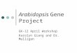 Arabidopsis Gene Project GK-12 April Workshop Karolyn Giang and Dr. Mulligan