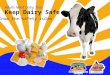 Keep Dairy Safe Adults Need Dairy, Too! Know the safety rules