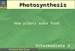 C astlehead H igh S chool Photosynthesis Intermediate 2 How plants make food