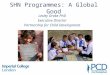 SHN Programmes: A Global Good Lesley Drake PhD Executive Director Partnership for Child Development