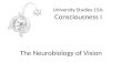 University Studies 15A: Consciousness I The Neurobiology of Vision