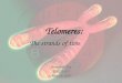 Telomeres: The strands of time Jonathan Fay BMCB 625 June 14, 2007