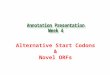 Alternative Start Codons & Novel ORFs. You vs. Glimmer The BrilliantThe Automated Student Gene Caller