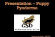 Presentation – Puppy Pyoderma Maren von der Heyde – NBS 2012