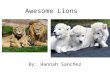Awesome Lions By: Hannah Sanchez. Table of Contents Introduction…………..………….1 Lions……….……………………..…….2 How do lions grow?…………...3 What