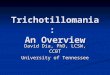 Trichotillomania: An Overview David Dia, PhD, LCSW, CCBT University of Tennessee