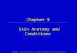 Copyright © 2007, 2004 by Saunders, an imprint of Elsevier Inc. All rights reserved. 1 Chapter 9 Skin Anatomy and Conditions